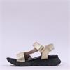 Hispanitas Ambar T-Bar Velcro Sandal - Gold Black